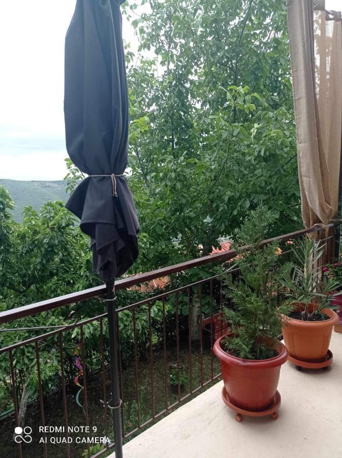 Άγρια Λούλουδα Κατοικία Αρμονία Timfristos Exteriör bild