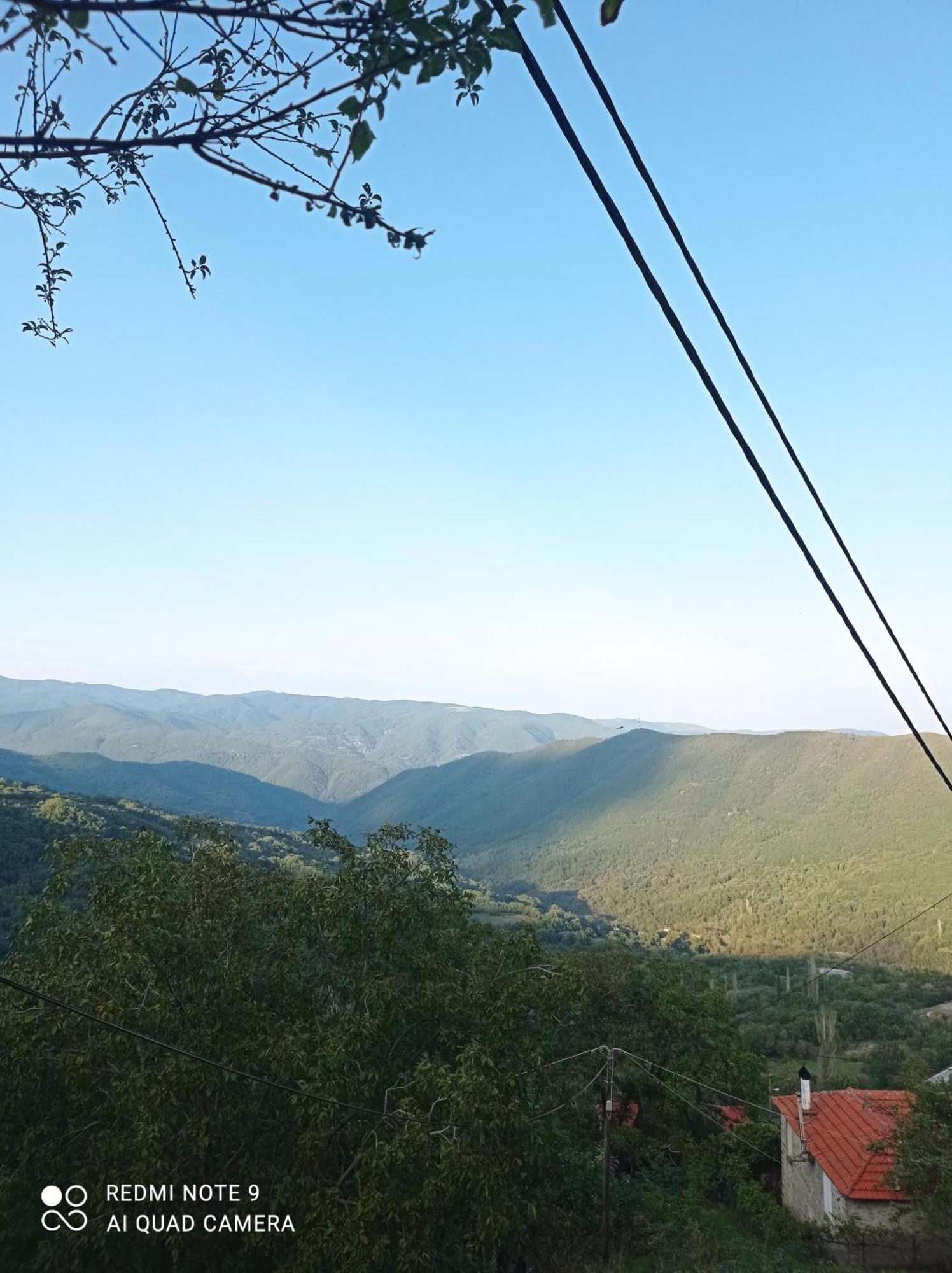 Άγρια Λούλουδα Κατοικία Αρμονία Timfristos Exteriör bild