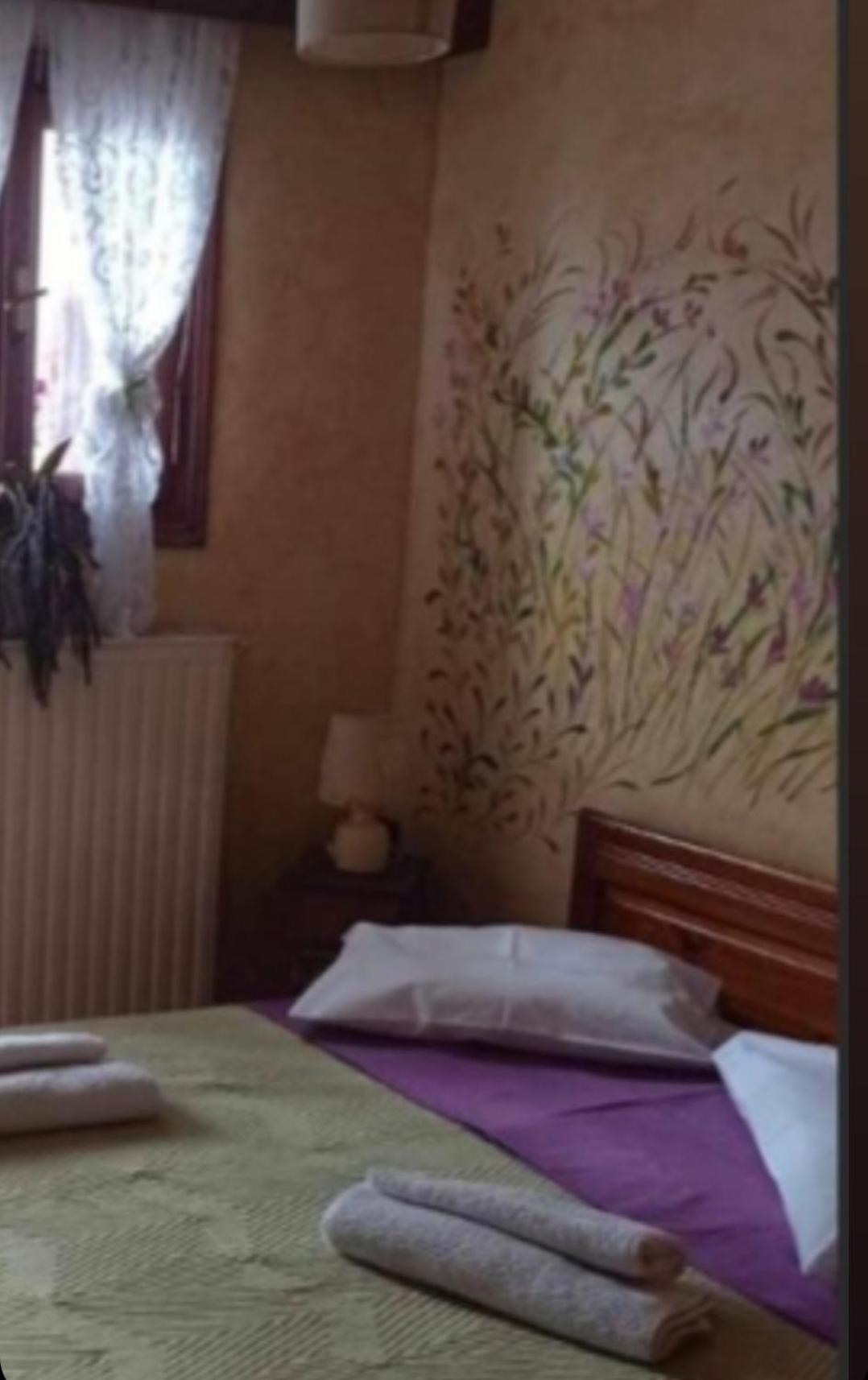 Άγρια Λούλουδα Κατοικία Αρμονία Timfristos Exteriör bild